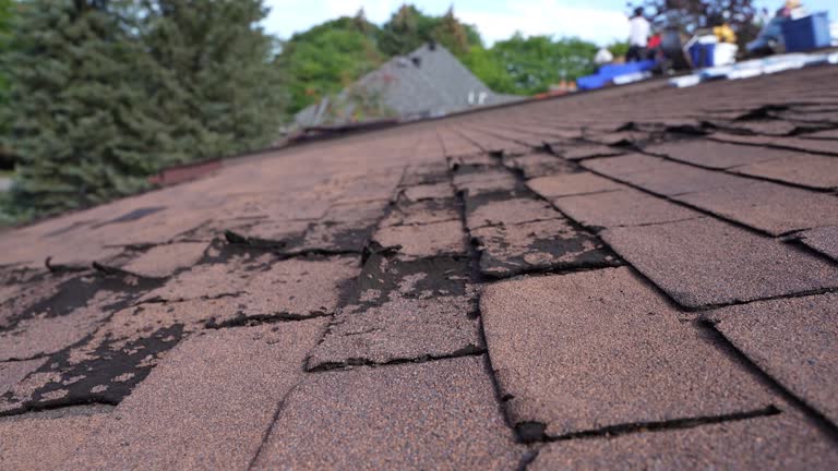 Best Slate Roofing  in Park Center, CO