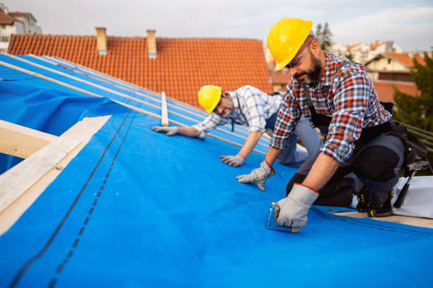 Emergency Roof Repair in Park Center, CO