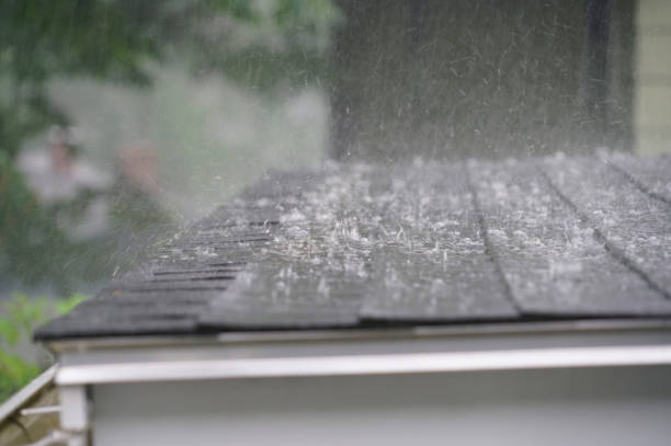 Trusted Park Center, CO Roofing Service Experts