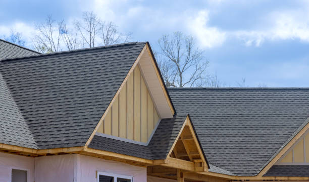 Best Roof Insulation Installation  in Park Center, CO